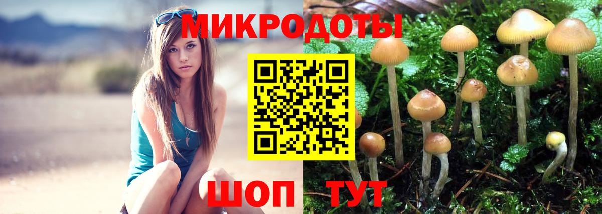 Псилоцибиновые грибы ЛСД Волгоград