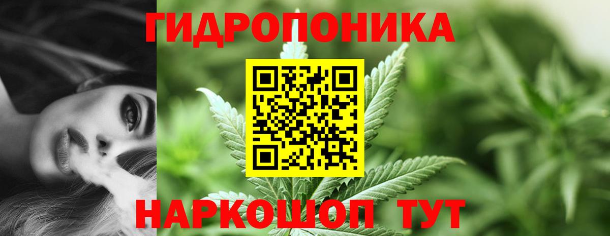 Конопля Bruce Banner Волгоград